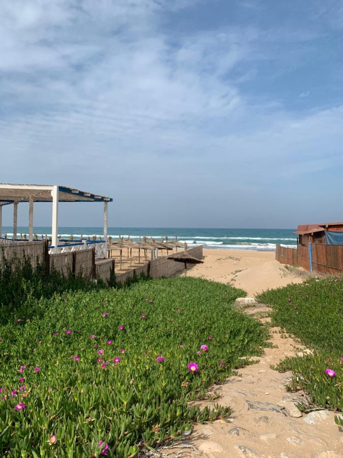 Maison Du Bonheur En Bord De Mer Avec Piscine 사이디아 외부 사진